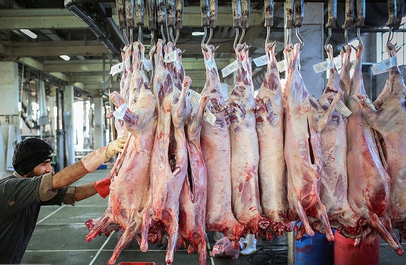 قیمت جدید گوشت قرمز در بازار/ ران گوسفندی چند؟