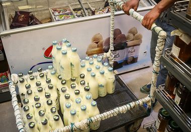 شیر خام از مرز ۳۵ هزار تومان گذشت؛ متهم اول گرانی لبنیات معرفی شد