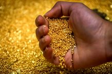 قیمت طلا، سکه، دلار و یورو امروز پنجشنبه 16 مرداد ۱۴۰۴/ طلا کوتاه آمد