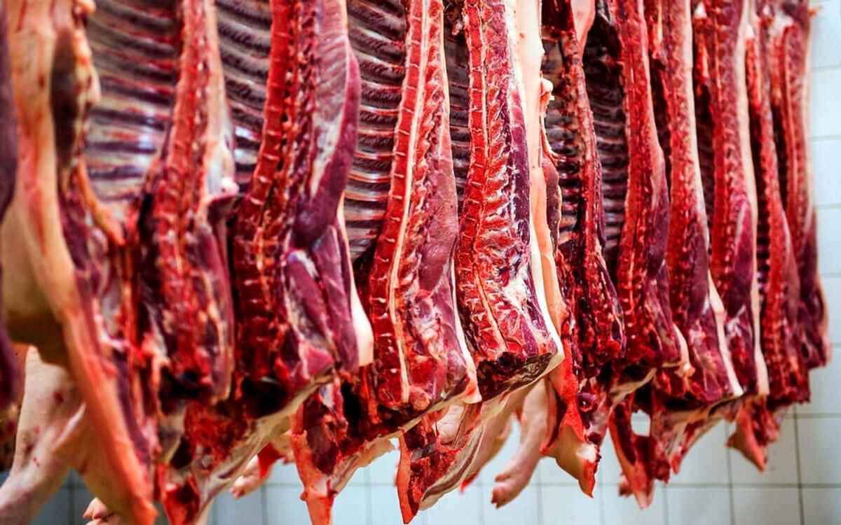 قیمت گوشت قرمز امروز 2 تیر/ ماهیچه گوسفندی چند فروخته می‌شود؟