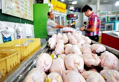 قیمت گوشت مرغ امروز ۲۲ اردیبهشت ۱۴۰۳