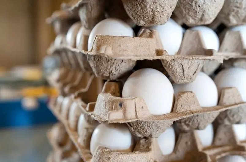 قیمت تخممرغ امروز 20 تیر اعلام شد