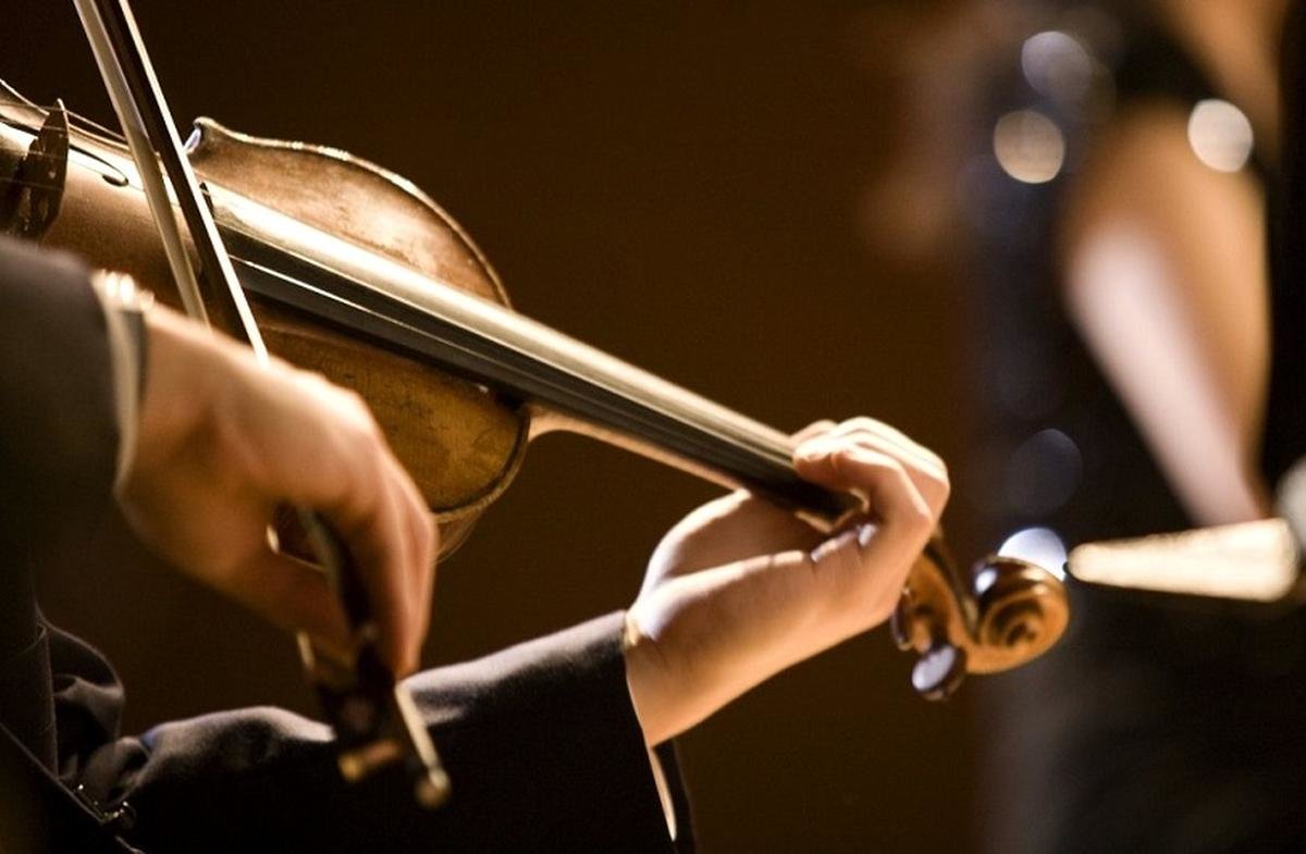 قیمت ویولن در بازار؛ گران‌ترین مدل 86 میلیون