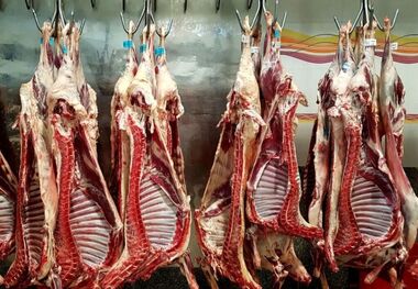قیمت گوشت قرمز امروز ۴ اردیبهشت ۱۴۰۳
