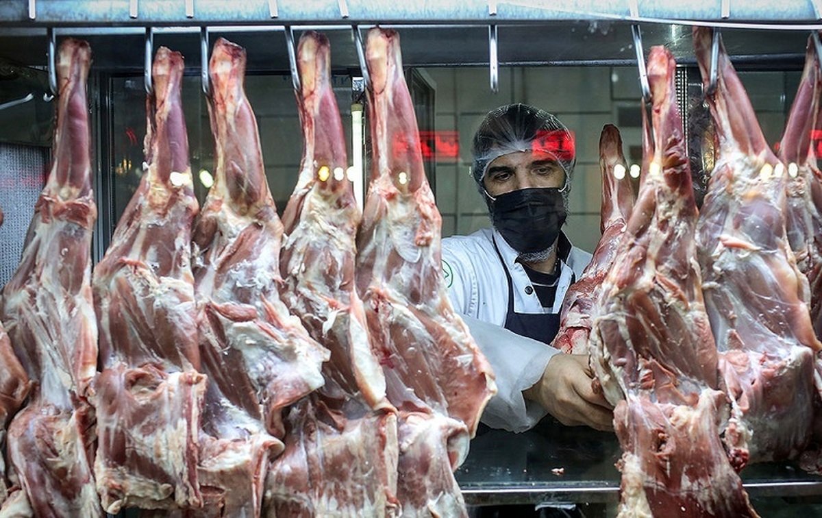 قیمت گوشت قرمز امروز؛ ماهیچه گوسفندی چند؟