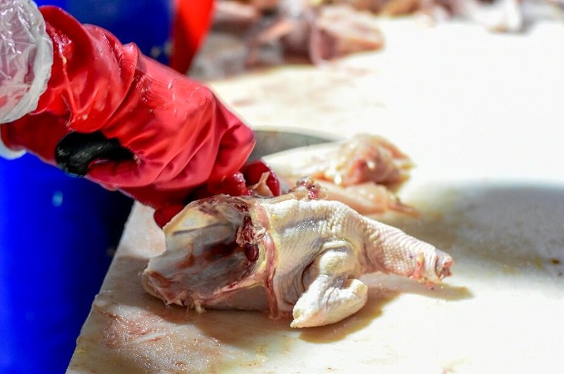 قیمت مرغ امروز 9 مهر/ مرغ کشتار روز 103 هزار