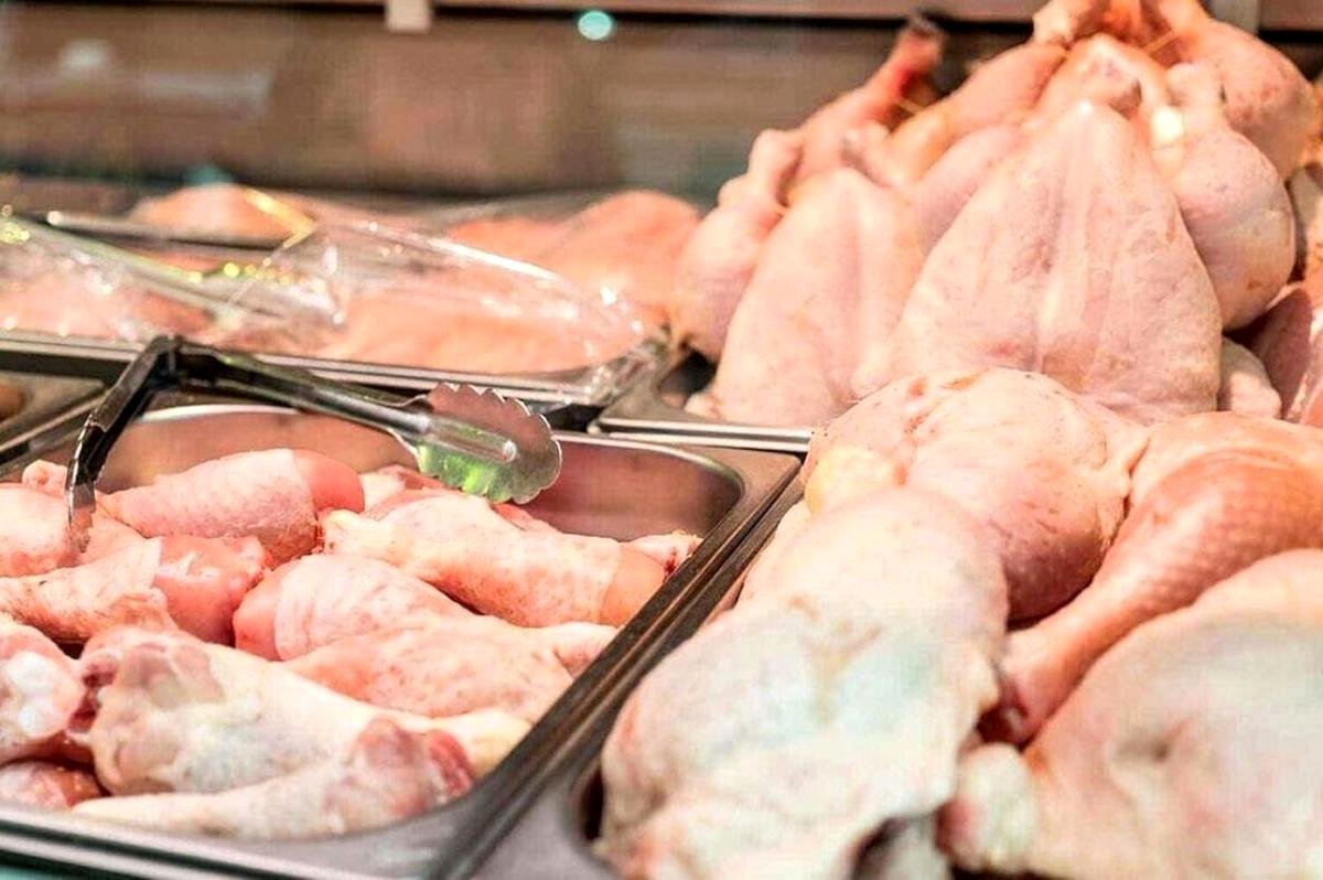 قیمت مرغ امروز ۲ مرداد / سینه مرغ بی‌استخوان چند؟ 
