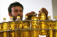 هشت دلیل افزایش قیمت روغن در بازار