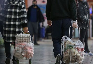 قیمت جدید میوه در بازار/ گوجه‌فرنگی گران شد