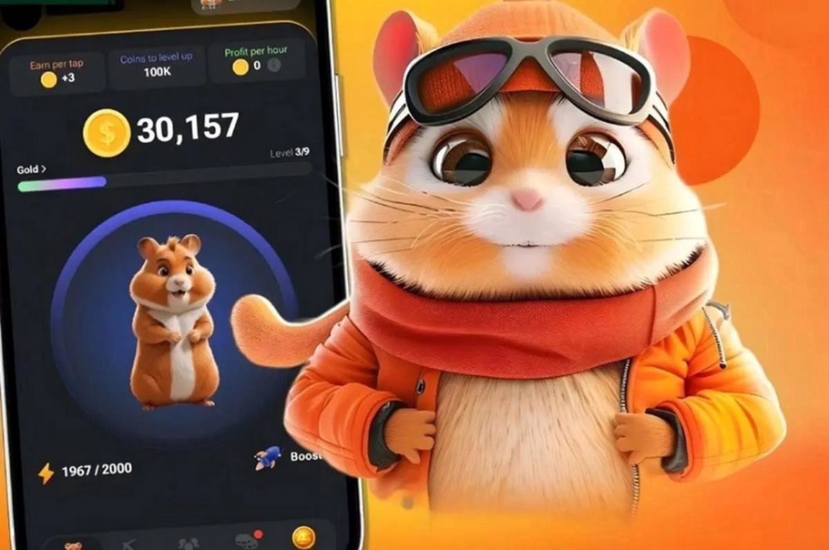 کارت های امروز همستر 11 تیر مشخص شد + (عکس)