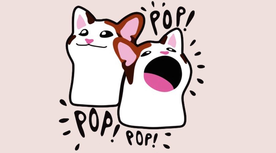 پاپ‌کت در جمع پیشتازان میم‌کوین‌ها!