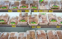 مرغ 125 هزار تومانی در راه بازار