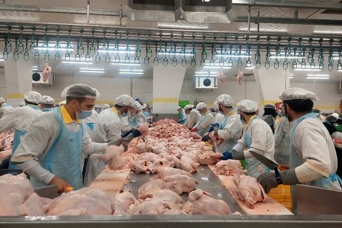 قیمت مرغ امروز 28 شهریور/ سنگدان مرغ 35 هزار