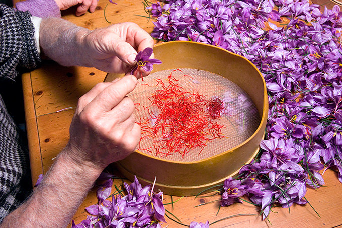 زعفران تقلبی را چگونه بشناسیم؟