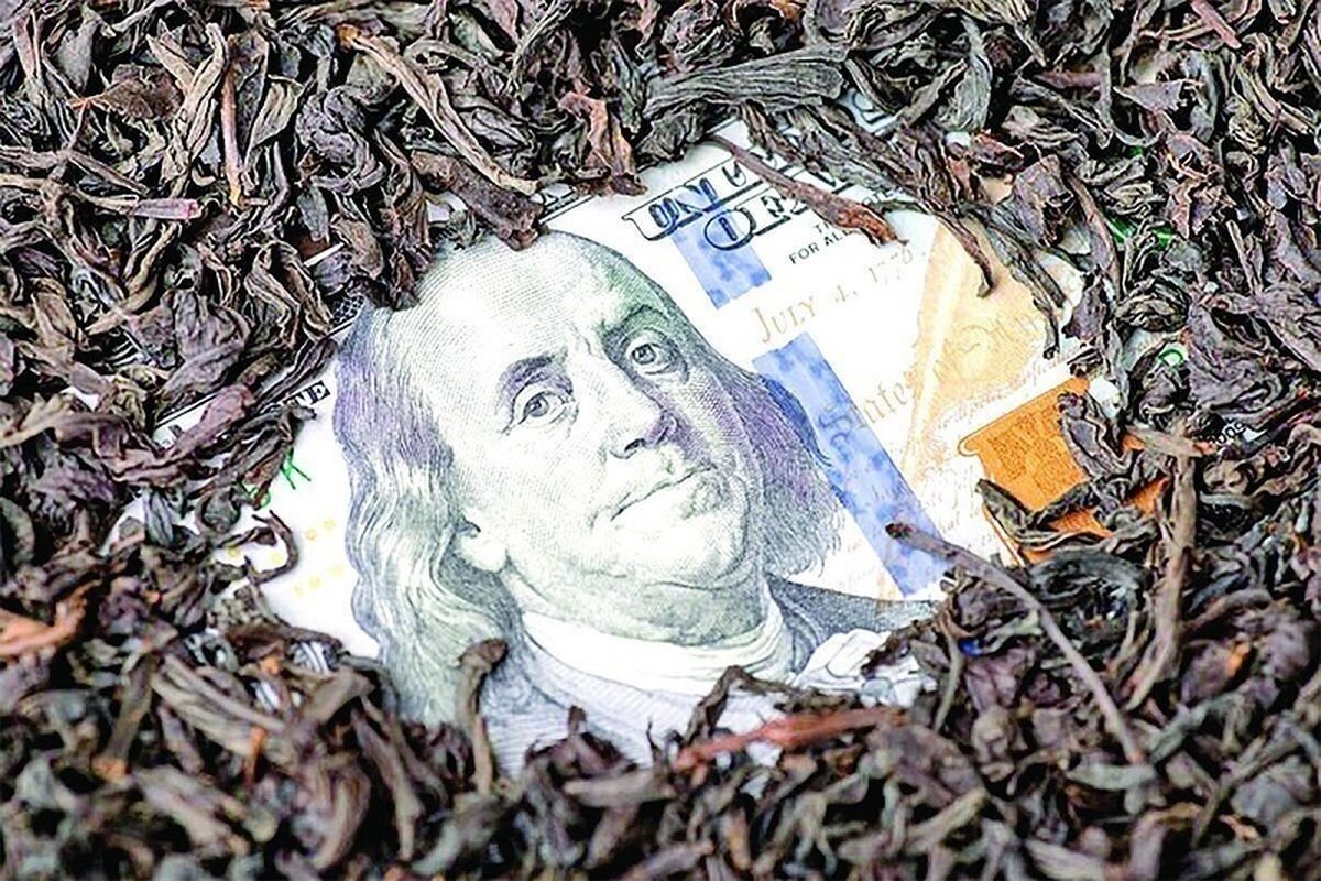 صفر تا 100 پرونده فساد 3.4 میلیارد دلاری چای دبش