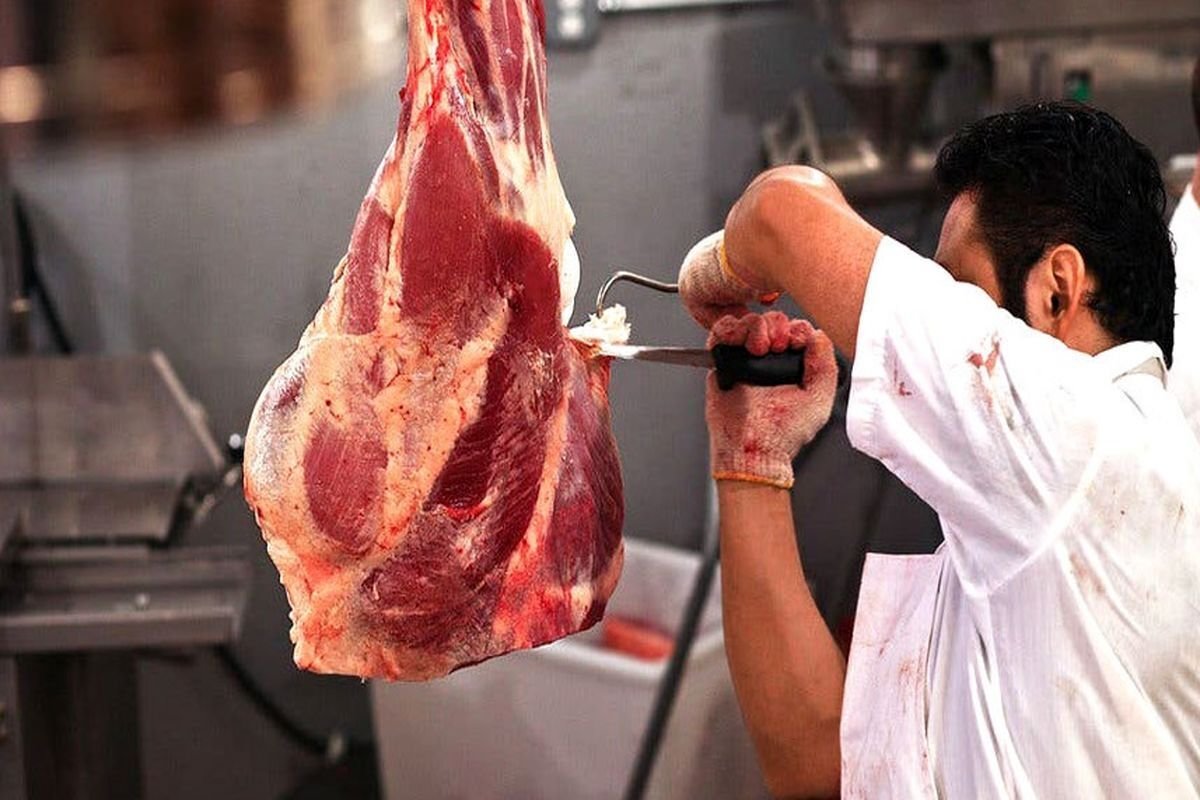 پشتپرده توقف عرضه گوشت گرم تنظیم بازار