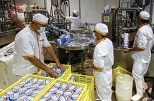 افزایش 30 درصدی قیمت لبنیات در بازار