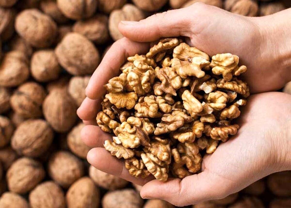 قیمت آجیل و خشکبار امروز؛ گردو 420 هزار تومان
