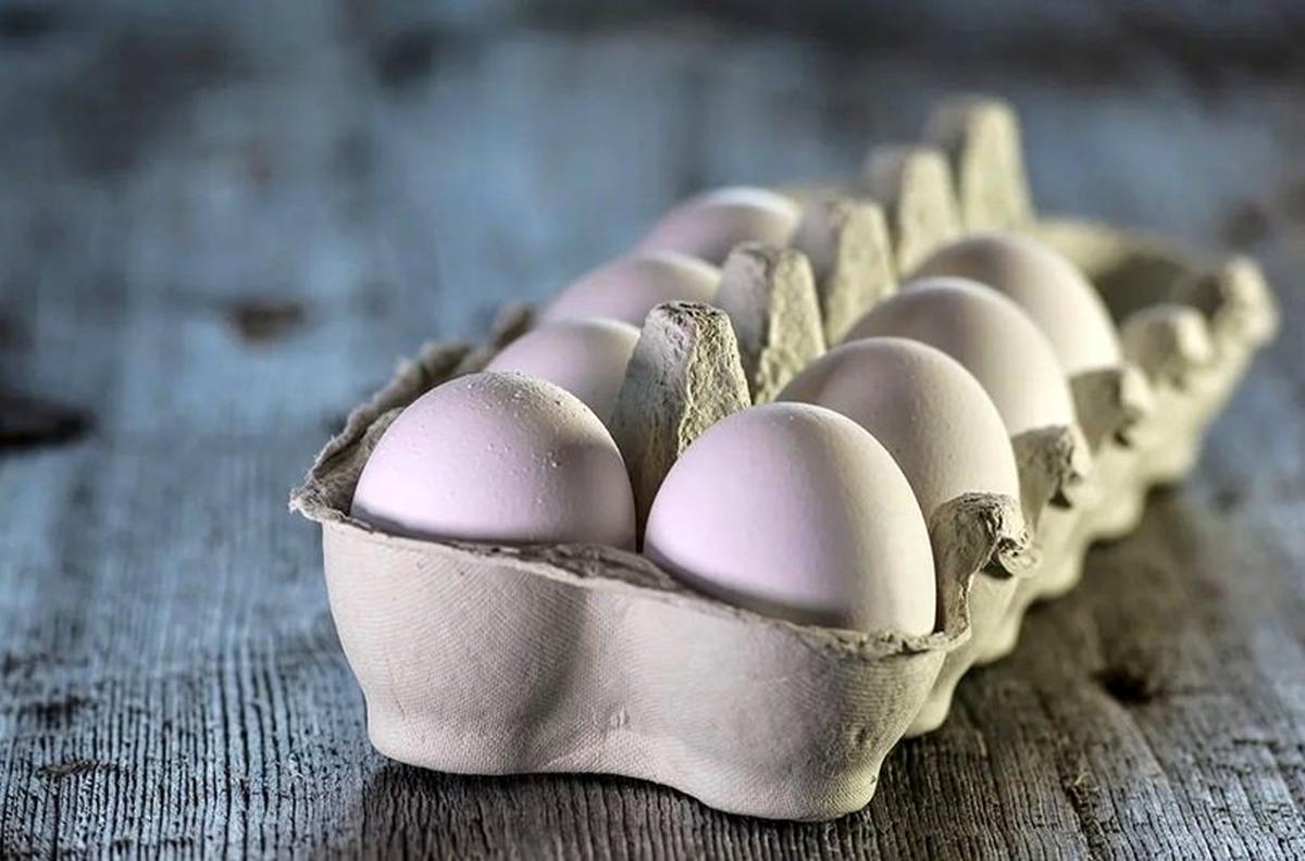 تخممرغ ارزان دردسر جدید دولت