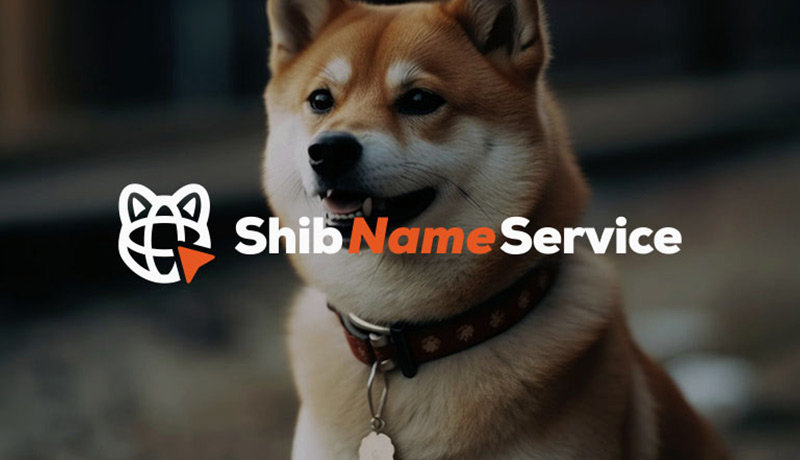 سرویس نام شیبا راه‌اندازی شد! 