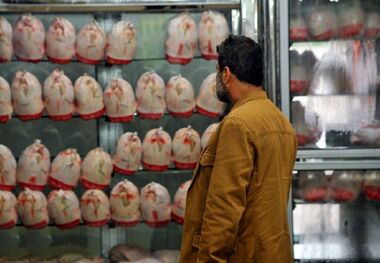 قیمت مرغ در بازار