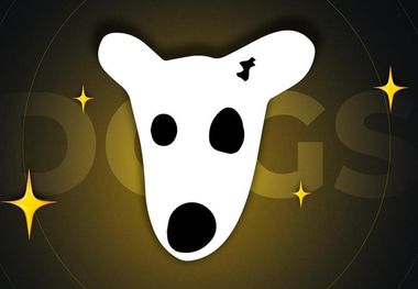 قیمت داگز به تومان؛ راه افزایش موجودی در داگز چیست؟