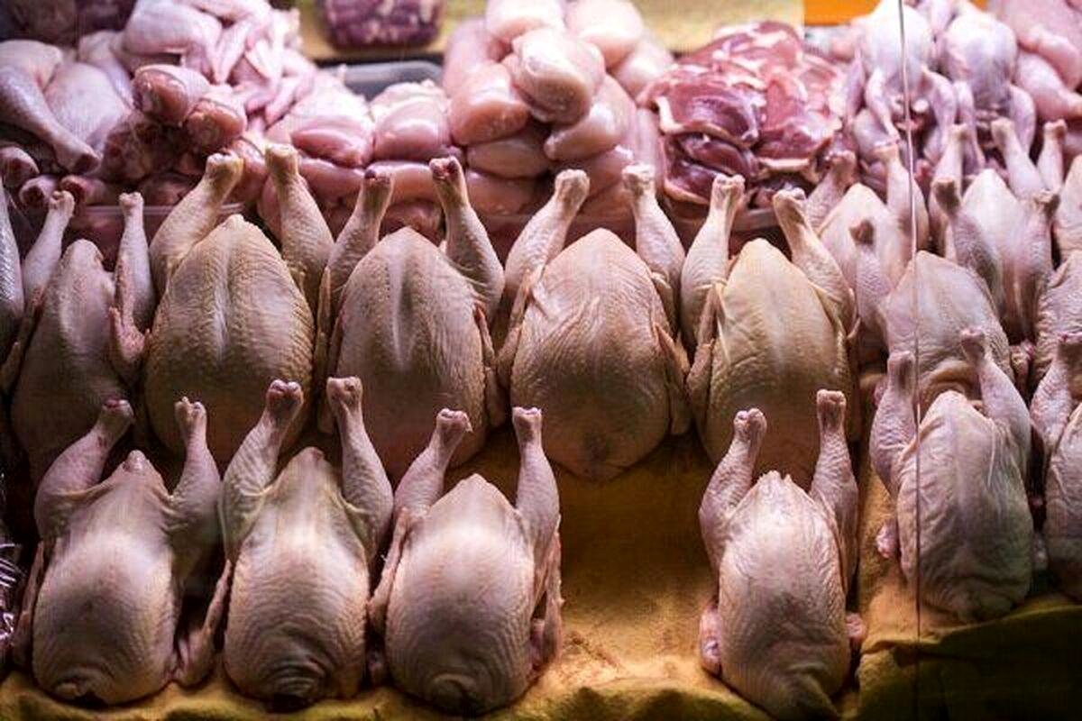 قیمت مرغ امروز 19 شهریور/ فیله مرغ کیلویی چند؟