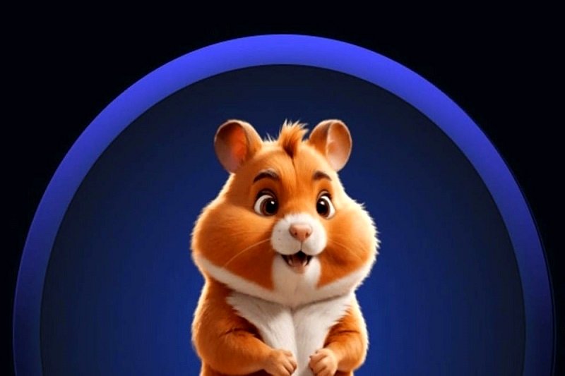 کد مورس ۴ تیر همستر کامبت مشخص شد + عکس