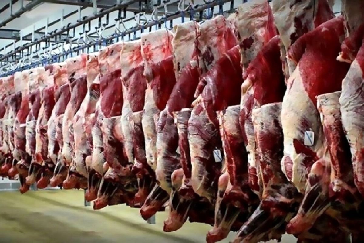 قیمت گوشت قرمز امروز 8 آبان/ ران گوسفندی 598 هزار
