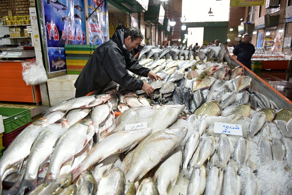 قیمت ماهی امروز 6 تیر/ فیله ماهی چند فروخته می‌شود؟