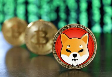 قیمت شیبا امروز 16 خرداد 1403