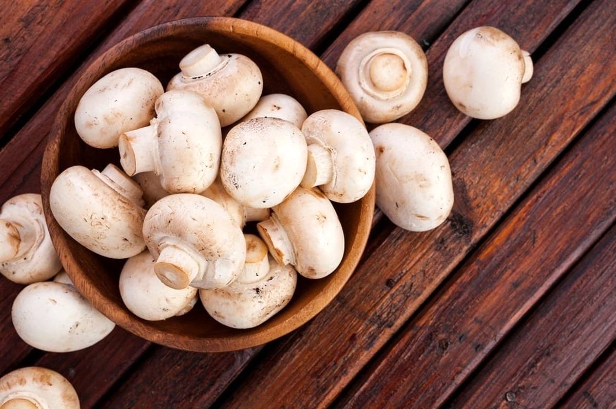 قیمت قارچ اعلام شد؛ قارچ فله‌ای چند؟