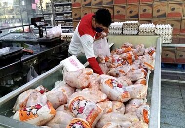 قیمت گوشت مرغ، امروز ۱۵ فروردین ۱۴۰۳