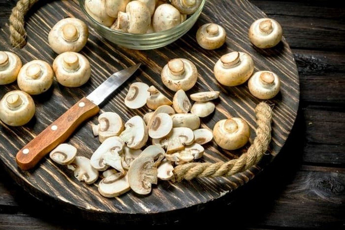 قارچ را گرانتر از این مبلغ نخرید