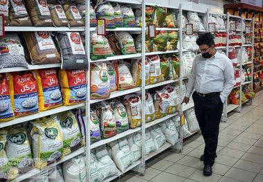 تخصیص ارز برنج به کجا رسید؟