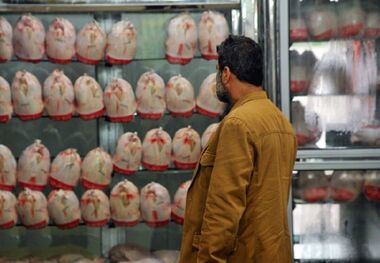 قیمت مرغ امروز 12 اردیبهشت/ فیله کیلویی 206 هزار تومان