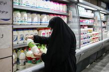 لبنیات، روغن و تخم‌مرغ ارزان‌ در راه بازار