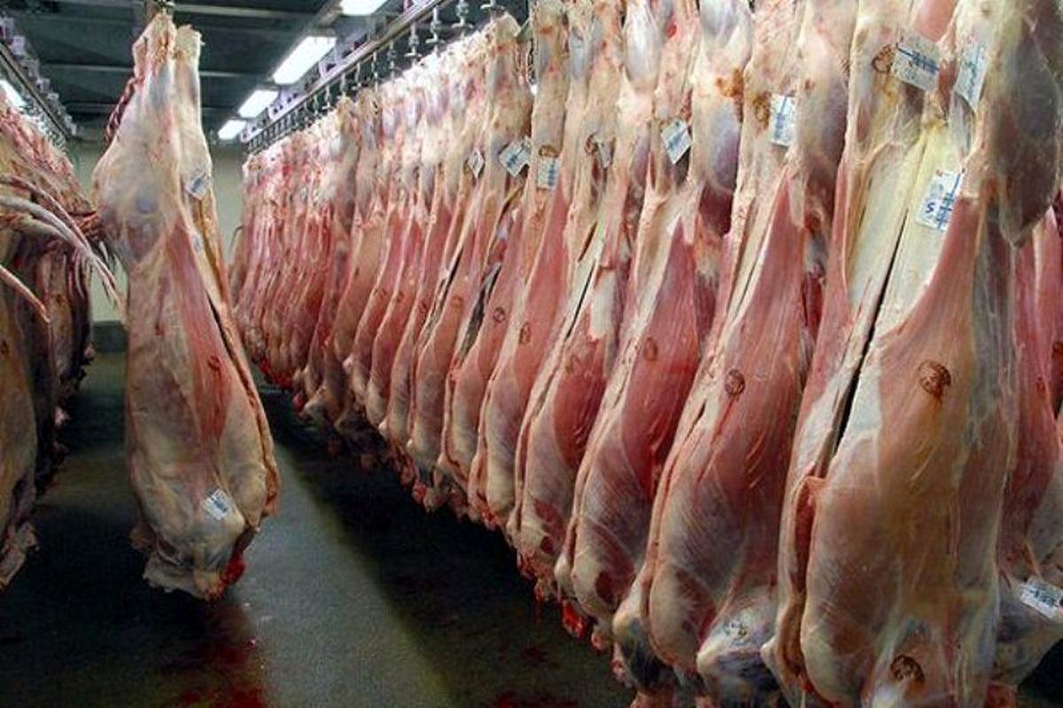 قیمت گوشت گوسفندی امروز ۹ مرداد/ فیله گوسفندی چند؟