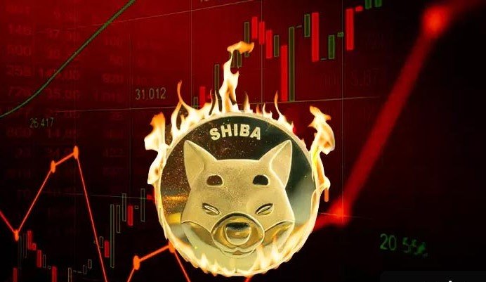 افزایش ۲۶۰۰ درصدی شیباسوزی‌