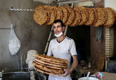 نان در آستانه گرانی/ بازار سیاه در سایه اعتراض کامیونداران