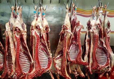 حربه جدید برای کاهش قیمت گوشت در بازار