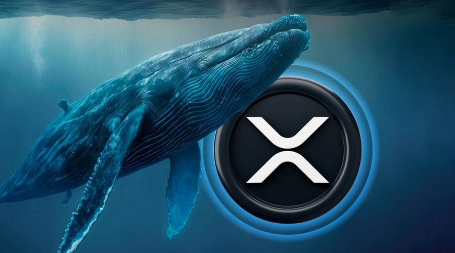 موج جدید فروش ریپل؛ زنگ خطر برای رمزارز محبوب ایرانیها