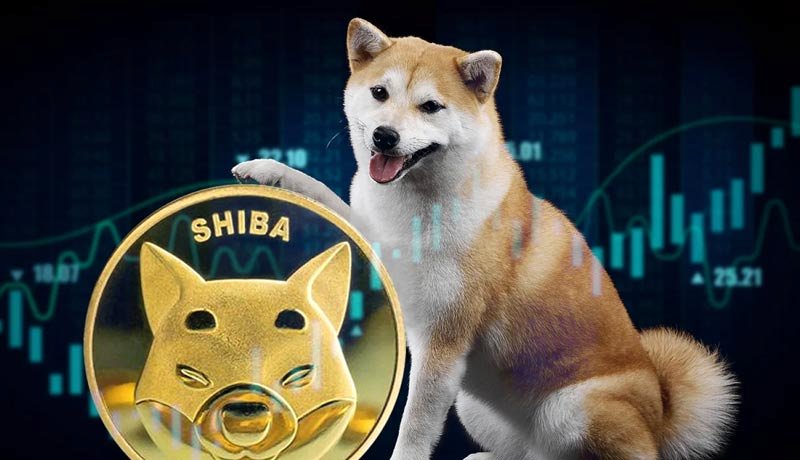 ارتش شیبا غرق در هیجان