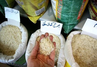قیمت برنج امروز 23 اردیبهشت 1403