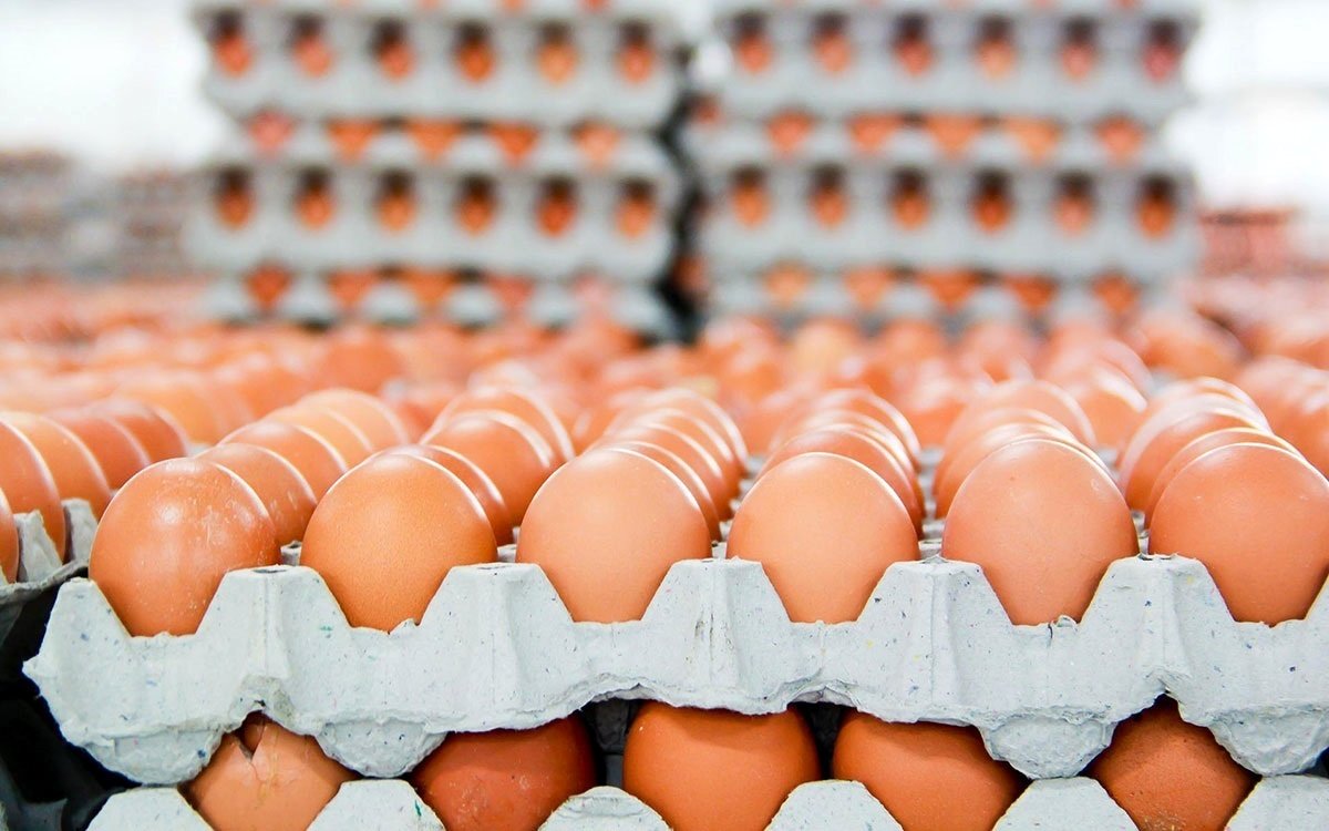 قیمت تخم‌مرغ امروز 6 تیر/ یک شانه تخم‌مرغ 114 هزار تومان