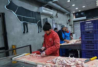 موتور تورم روشن شد