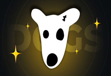 قیمت داگز؛ چهار نکته درباره پدیده بازار ارز دیجیتال‌