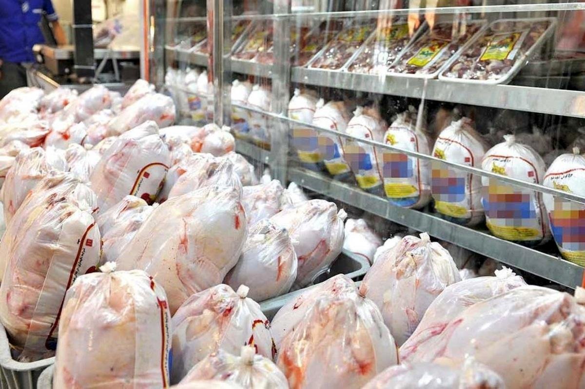 مرغ ارزان شد