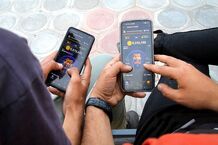 قیمت همستر؛ رژه روی اعصاب همستربازارن‌