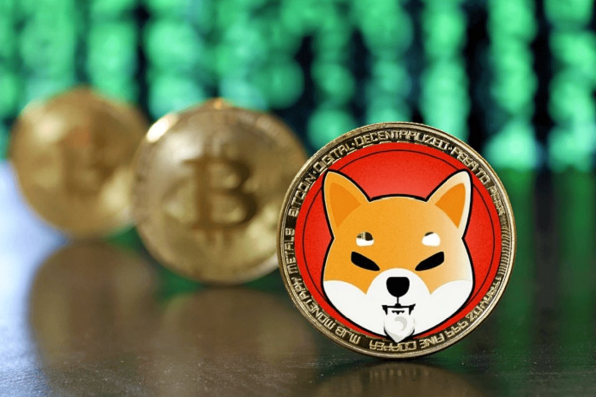 رشد ۱۵ درصدی شیبا اینو؛ رالی شیبا ادامه پیدا می‌کند؟